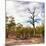 Awesome South Africa Collection Square - Savannah Landscape-Philippe Hugonnard-Mounted Photographic Print