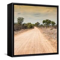 Awesome South Africa Collection Square - Savannah Road at Sunset-Philippe Hugonnard-Framed Stretched Canvas