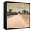 Awesome South Africa Collection Square - Savannah Road at Sunset-Philippe Hugonnard-Framed Stretched Canvas