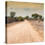 Awesome South Africa Collection Square - Savannah Road at Sunset-Philippe Hugonnard-Stretched Canvas