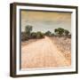 Awesome South Africa Collection Square - Savannah Road at Sunset-Philippe Hugonnard-Framed Photographic Print