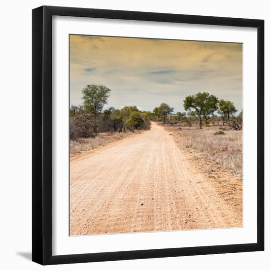 Awesome South Africa Collection Square - Savannah Road at Sunset-Philippe Hugonnard-Framed Photographic Print