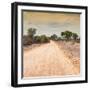 Awesome South Africa Collection Square - Savannah Road at Sunset-Philippe Hugonnard-Framed Photographic Print