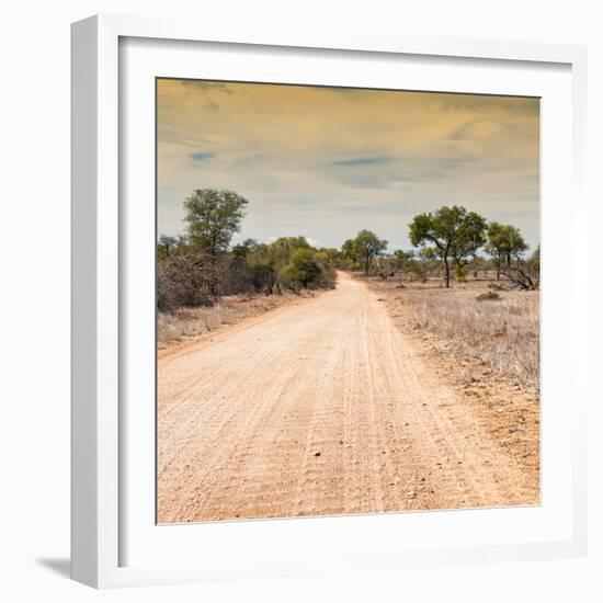 Awesome South Africa Collection Square - Savannah Road at Sunset-Philippe Hugonnard-Framed Photographic Print