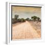 Awesome South Africa Collection Square - Savannah Road at Sunset-Philippe Hugonnard-Framed Photographic Print