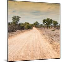 Awesome South Africa Collection Square - Savannah Road at Sunset-Philippe Hugonnard-Mounted Photographic Print