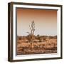 Awesome South Africa Collection Square - Savannah Sunrise-Philippe Hugonnard-Framed Photographic Print