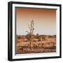 Awesome South Africa Collection Square - Savannah Sunrise-Philippe Hugonnard-Framed Photographic Print