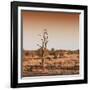 Awesome South Africa Collection Square - Savannah Sunrise-Philippe Hugonnard-Framed Photographic Print