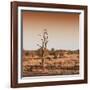 Awesome South Africa Collection Square - Savannah Sunrise-Philippe Hugonnard-Framed Photographic Print