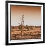 Awesome South Africa Collection Square - Savannah Sunrise-Philippe Hugonnard-Framed Photographic Print