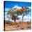 Awesome South Africa Collection Square - Savannah Trees in Fall Colors II-Philippe Hugonnard-Stretched Canvas
