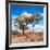 Awesome South Africa Collection Square - Savannah Trees in Fall Colors II-Philippe Hugonnard-Framed Photographic Print