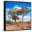 Awesome South Africa Collection Square - Savannah Trees in Fall Colors II-Philippe Hugonnard-Framed Stretched Canvas