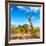 Awesome South Africa Collection Square - Savannah Trees-Philippe Hugonnard-Framed Photographic Print