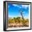 Awesome South Africa Collection Square - Savannah Trees-Philippe Hugonnard-Framed Photographic Print