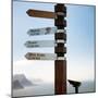 Awesome South Africa Collection Square - Sign Post - Cape of Good Hope-Philippe Hugonnard-Mounted Photographic Print