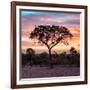 Awesome South Africa Collection Square - Silhouette of Acacia Tree at Sunrise-Philippe Hugonnard-Framed Photographic Print