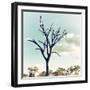 Awesome South Africa Collection Square - Silhouette of Acacia Tree II-Philippe Hugonnard-Framed Premium Photographic Print