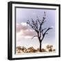 Awesome South Africa Collection Square - Silhouette of Acacia Tree III-Philippe Hugonnard-Framed Photographic Print