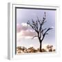 Awesome South Africa Collection Square - Silhouette of Acacia Tree III-Philippe Hugonnard-Framed Photographic Print