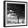 Awesome South Africa Collection Square - Silhouette of Acacia Tree-Philippe Hugonnard-Framed Photographic Print