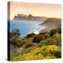 Awesome South Africa Collection Square - South Peninsula Landscape at Sunset - Cape Town-Philippe Hugonnard-Stretched Canvas