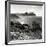 Awesome South Africa Collection Square - South Peninsula Landscape - Cape Town B&W-Philippe Hugonnard-Framed Photographic Print