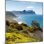 Awesome South Africa Collection Square - South Peninsula Landscape - Cape Town-Philippe Hugonnard-Mounted Photographic Print