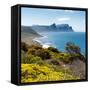 Awesome South Africa Collection Square - South Peninsula Landscape - Cape Town-Philippe Hugonnard-Framed Stretched Canvas