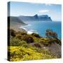 Awesome South Africa Collection Square - South Peninsula Landscape - Cape Town-Philippe Hugonnard-Stretched Canvas