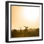 Awesome South Africa Collection Square - Sunrise in Savannah III-Philippe Hugonnard-Framed Photographic Print