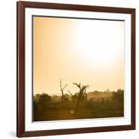 Awesome South Africa Collection Square - Sunrise in Savannah III-Philippe Hugonnard-Framed Photographic Print