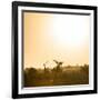 Awesome South Africa Collection Square - Sunrise in Savannah III-Philippe Hugonnard-Framed Photographic Print