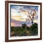 Awesome South Africa Collection Square - Sunrise in Savannah-Philippe Hugonnard-Framed Photographic Print