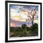 Awesome South Africa Collection Square - Sunrise in Savannah-Philippe Hugonnard-Framed Photographic Print