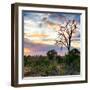 Awesome South Africa Collection Square - Sunrise in Savannah-Philippe Hugonnard-Framed Photographic Print