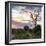 Awesome South Africa Collection Square - Sunrise in Savannah-Philippe Hugonnard-Framed Photographic Print