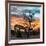 Awesome South Africa Collection Square - Sunrise over Savanna-Philippe Hugonnard-Framed Photographic Print