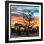 Awesome South Africa Collection Square - Sunrise over Savanna-Philippe Hugonnard-Framed Photographic Print