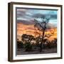 Awesome South Africa Collection Square - Sunrise over Savanna-Philippe Hugonnard-Framed Photographic Print