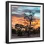 Awesome South Africa Collection Square - Sunrise over Savanna-Philippe Hugonnard-Framed Photographic Print