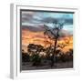 Awesome South Africa Collection Square - Sunrise over Savanna-Philippe Hugonnard-Framed Photographic Print