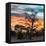 Awesome South Africa Collection Square - Sunrise over Savanna-Philippe Hugonnard-Framed Stretched Canvas