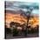 Awesome South Africa Collection Square - Sunrise over Savanna-Philippe Hugonnard-Stretched Canvas