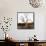 Awesome South Africa Collection Square - Three Whitebacked Vulture on the Tree I-Philippe Hugonnard-Framed Stretched Canvas displayed on a wall