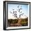 Awesome South Africa Collection Square - Three Whitebacked Vulture on the Tree-Philippe Hugonnard-Framed Photographic Print