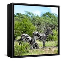 Awesome South Africa Collection Square - Two Burchell's Zebras II-Philippe Hugonnard-Framed Stretched Canvas