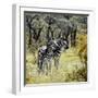 Awesome South Africa Collection Square - Two Common Zebras-Philippe Hugonnard-Framed Photographic Print