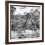 Awesome South Africa Collection Square - Two Giraffes and Herd of Zebras B&W-Philippe Hugonnard-Framed Photographic Print